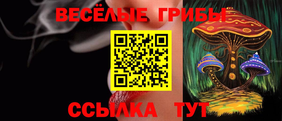 где найти   Галлюциногенные грибы Psilocybe  Вход с VPN  Нововоронеж 